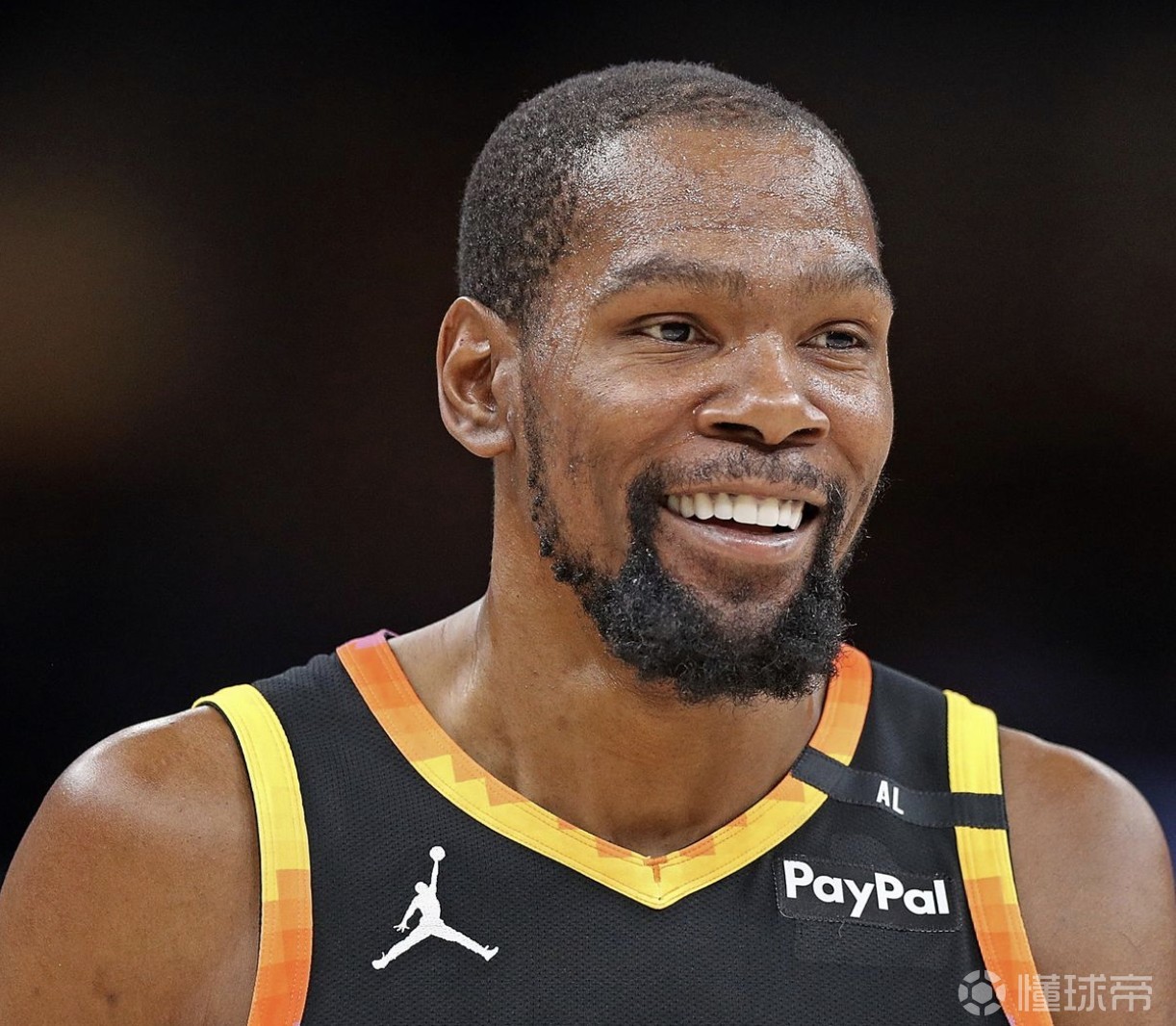 这些坚韧不 这些坚韧不