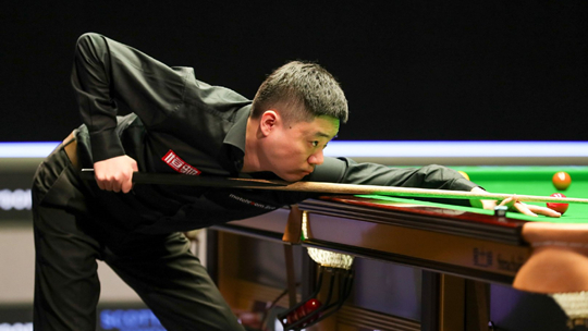 质展示了中 质展示了中